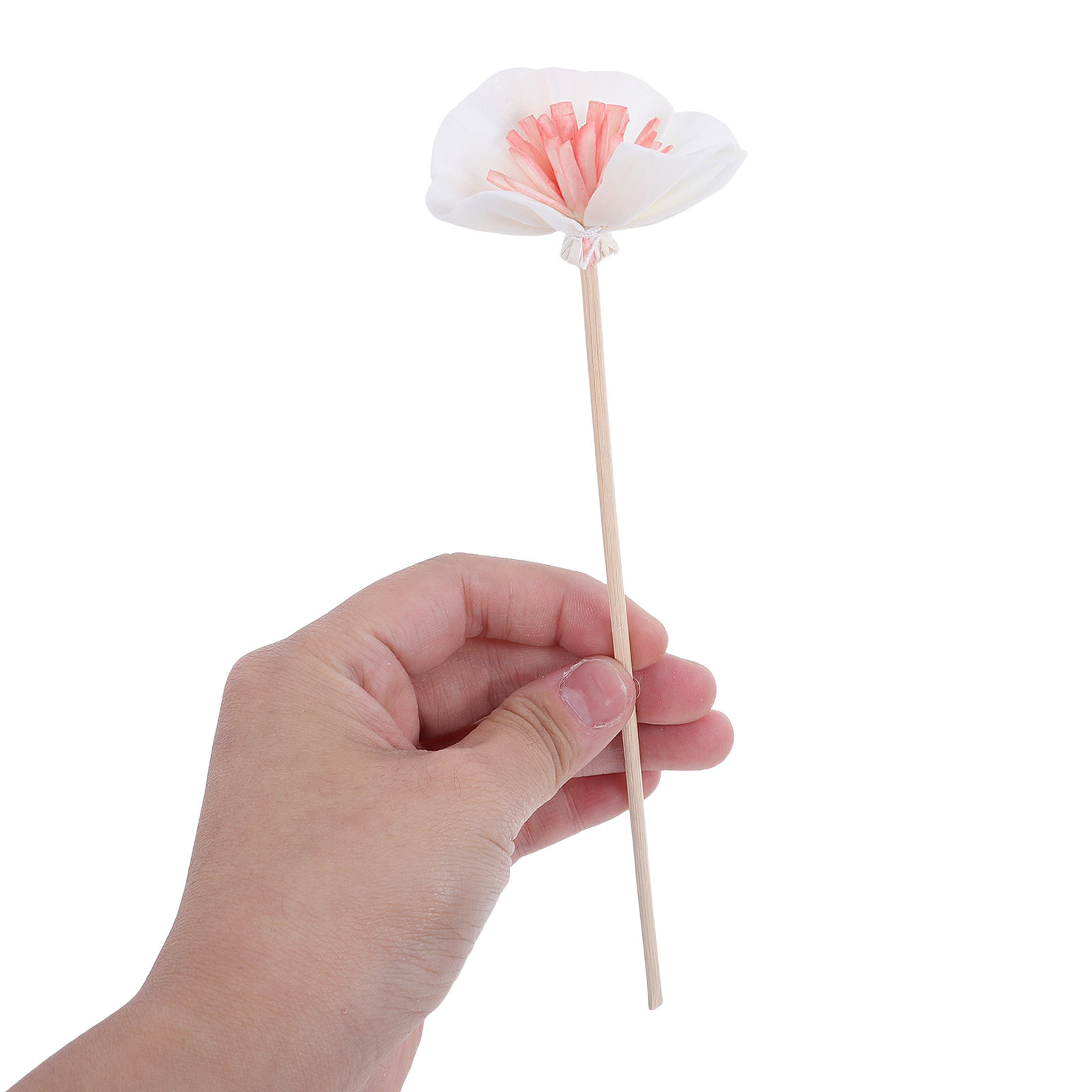 10Pcs Black Essential Oil Diff - Aromatherapy Diffuser 评论和价格